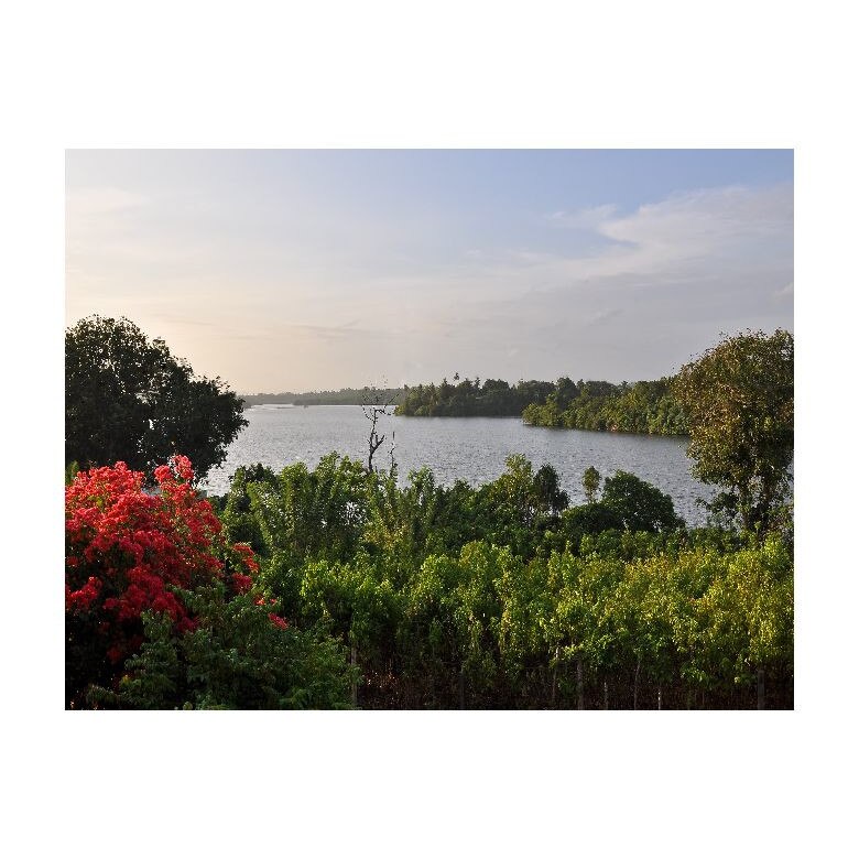 Tablou Canvas Natura, Dimensiunea 100x70 nat110