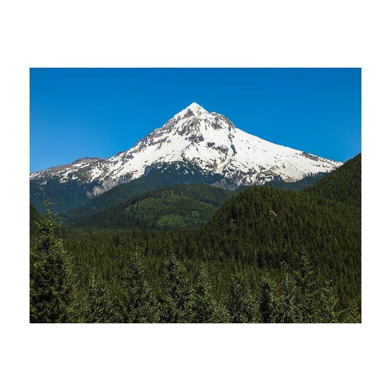 Tablou Canvas Natura, Dimensiunea 100x70 nat44