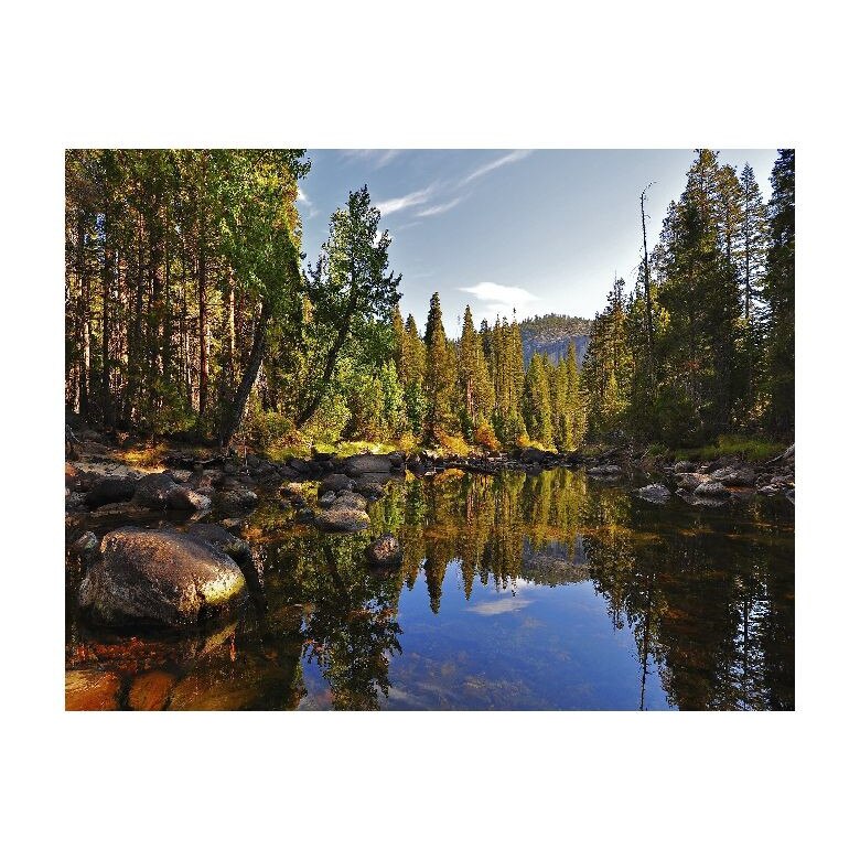 Tablou Canvas Natura, Dimensiunea 100x70 nat74