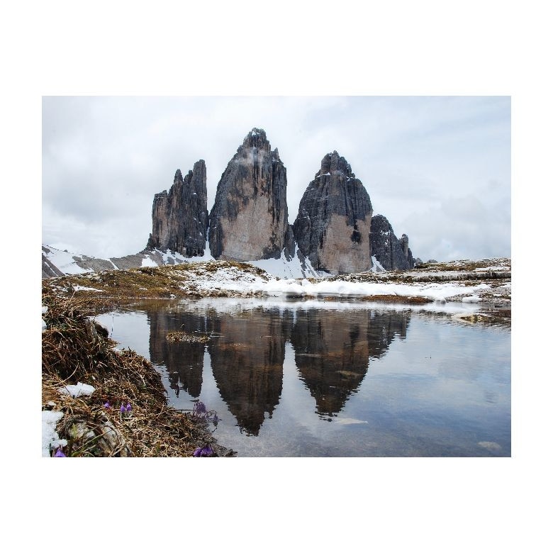 Tablou Canvas Natura, Dimensiunea 100x70 nat83