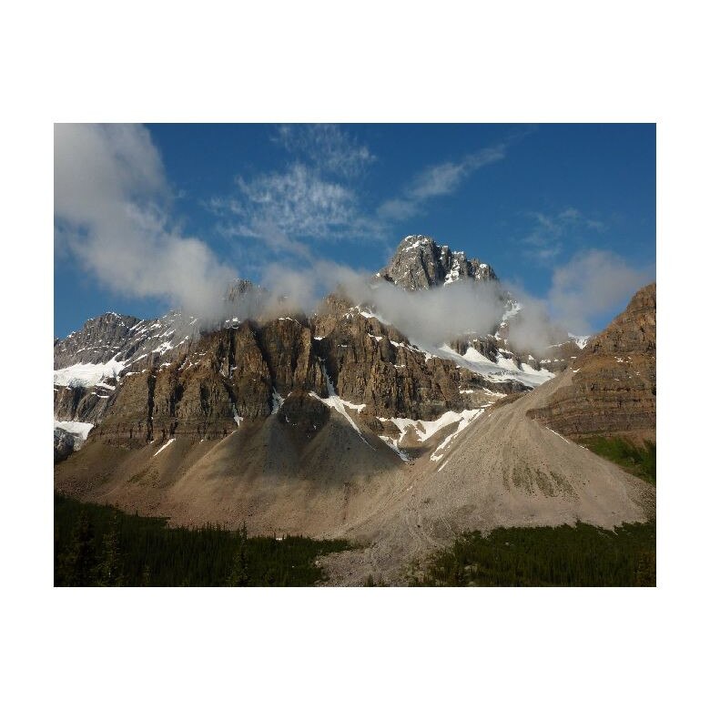 Tablou Canvas Natura, Dimensiunea 100x70 nat3