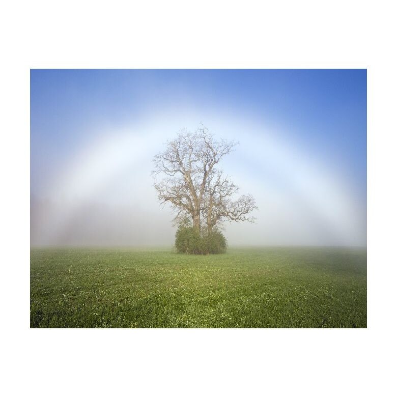 Tablou Canvas Natura, Dimensiunea 100x70 nat85