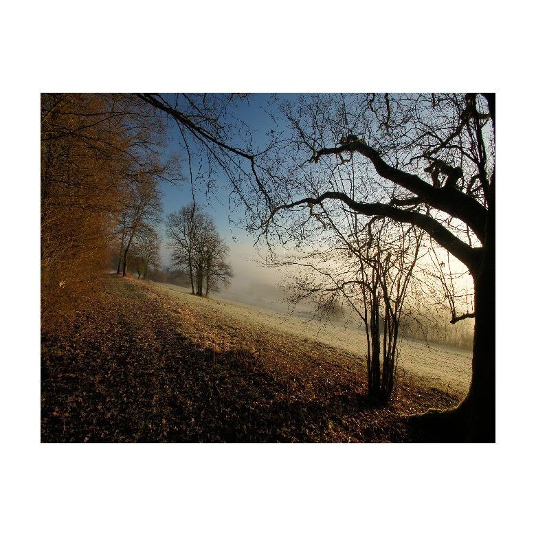 Tablou Canvas Natura, Dimensiunea 100x70 nat68