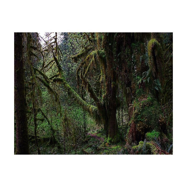 Tablou Canvas Natura, Dimensiunea 100x70 nat101