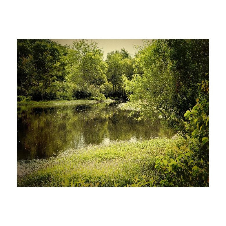 Tablou Canvas Natura, Dimensiunea 100x70 nat54
