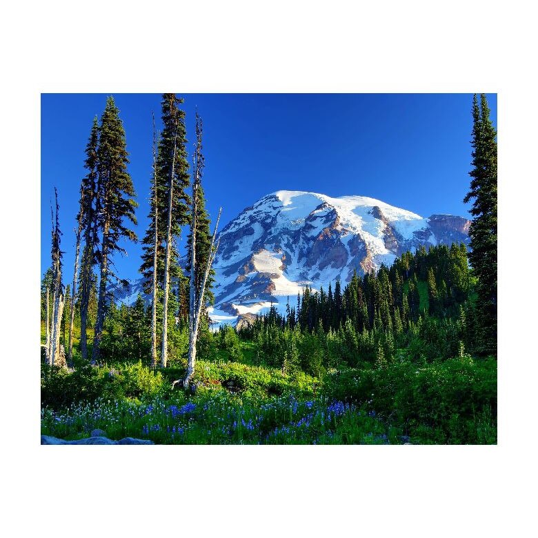 Tablou Canvas Natura, Dimensiunea 100x70 nat20