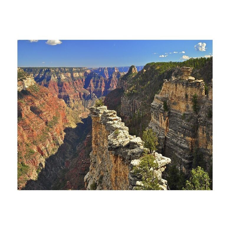 Tablou Canvas Natura, Dimensiunea 100x70 nat70