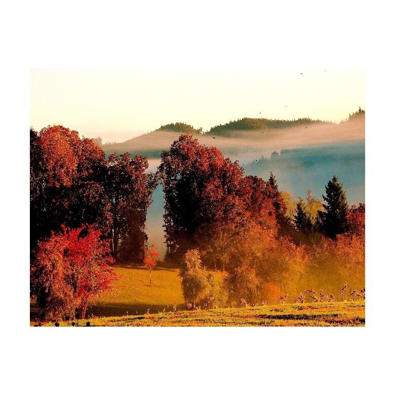 Tablou Canvas Natura, Dimensiunea 100x70 nat28