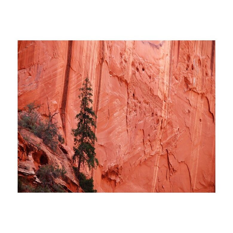 Tablou Canvas Natura, Dimensiunea 100x70 nat130