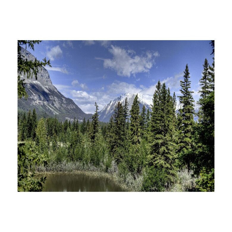 Tablou Canvas Natura, Dimensiunea 100x70 nat107
