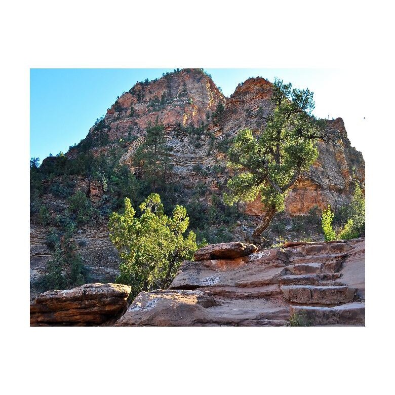 Tablou Canvas Natura, Dimensiunea 100x70 nat111