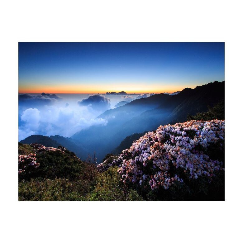 Tablou Canvas Natura, Dimensiunea 100x70 nat46