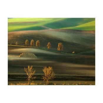 Tablou Canvas Natura, Dimensiunea 100x70 nat35 Tablou Canvas Natura, Dimensiunea 100x70 nat35