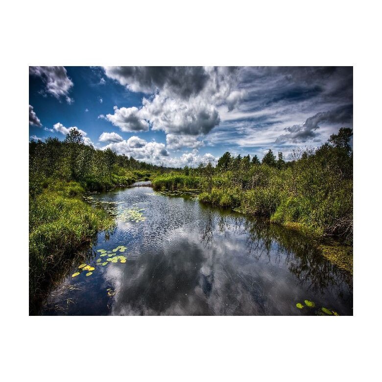 Tablou Canvas Natura, Dimensiunea 100x70 nat122