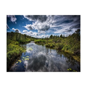 Tablou Canvas Natura, Dimensiunea 100x70 nat122 Tablou Canvas Natura, Dimensiunea 100x70 nat122