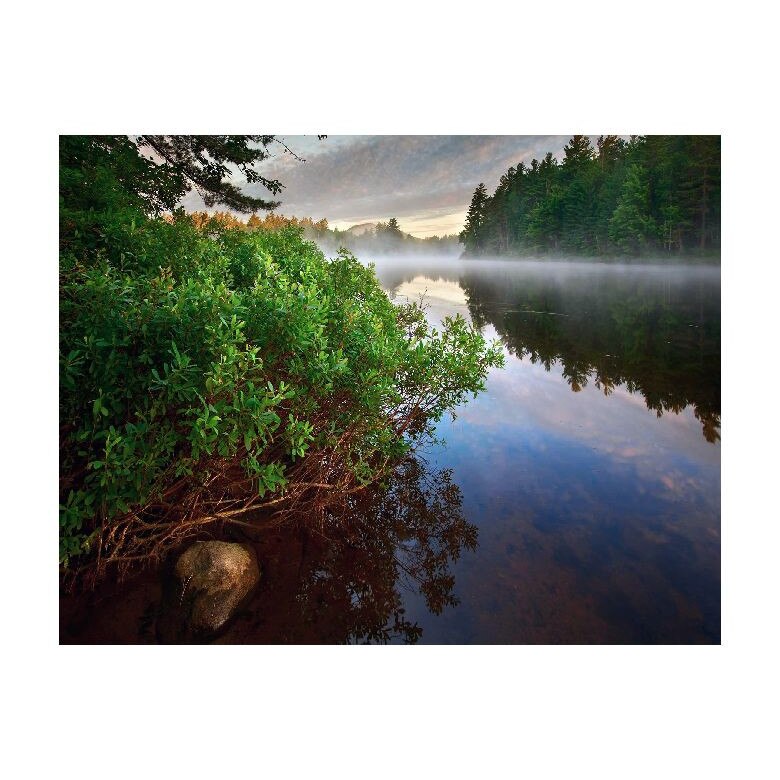 Tablou Canvas Natura, Dimensiunea 100x70 nat48