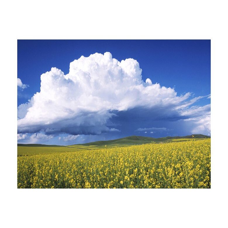 Tablou Canvas Natura, Dimensiunea 100x70 nat29