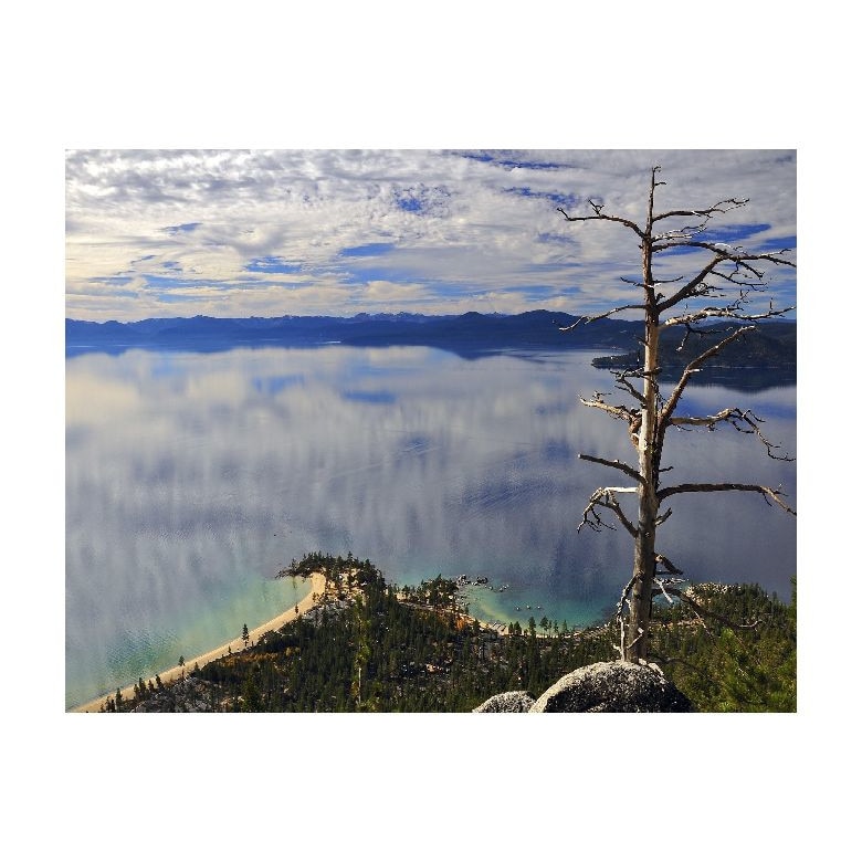 Tablou Canvas Natura, Dimensiunea 100x70 nat72