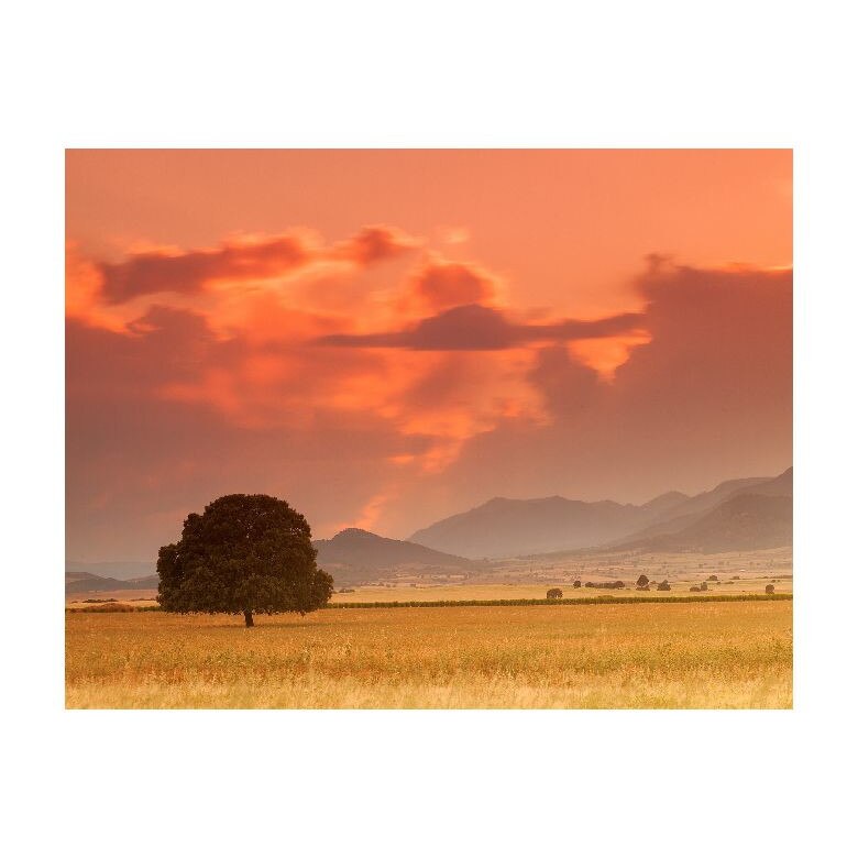 Tablou Canvas Natura, Dimensiunea 100x70 nat21