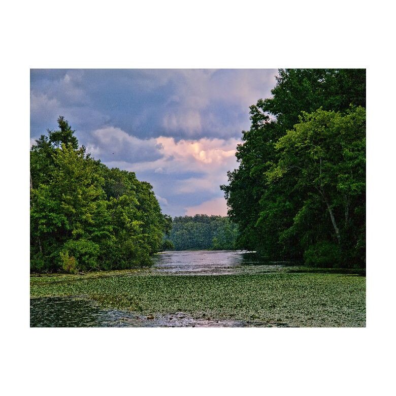 Tablou Canvas Natura, Dimensiunea 100x70 nat51