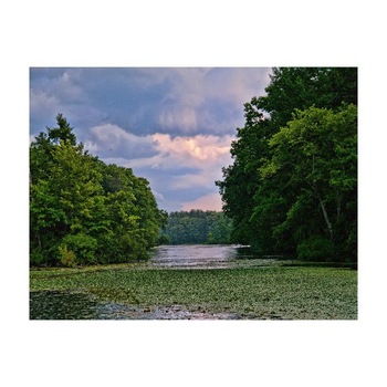 Tablou Canvas Natura, Dimensiunea 100x70 nat51 Tablou Canvas Natura, Dimensiunea 100x70 nat51