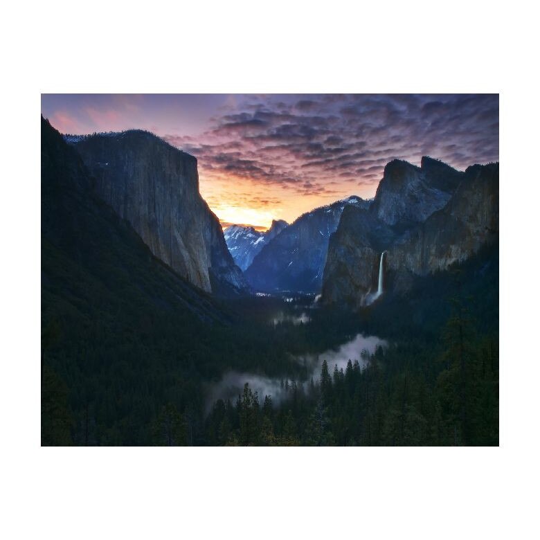 Tablou Canvas Natura, Dimensiunea 100x70 nat84