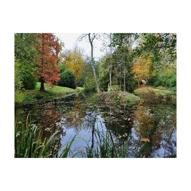 Tablou Canvas Natura, Dimensiunea 100x70 nat89