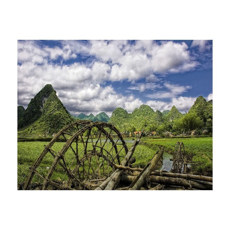 Tablou Canvas Natura, Dimensiunea 100x70 nat137