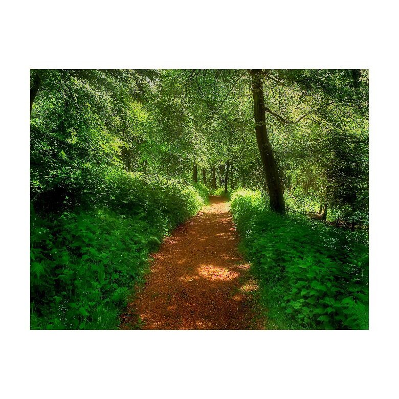 Tablou Canvas Natura, Dimensiunea 100x70 nat53