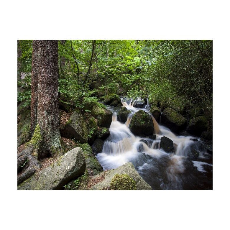 Tablou Canvas Natura, Dimensiunea 100x70 nat113