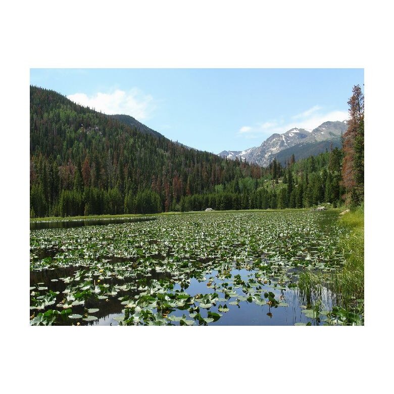 Tablou Canvas Natura, Dimensiunea 100x70 nat14