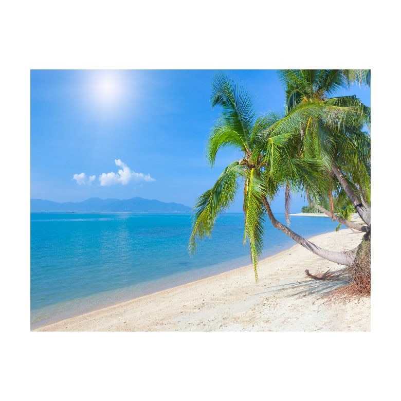 Tablou Canvas Natura, Dimensiunea 100x70 nat33