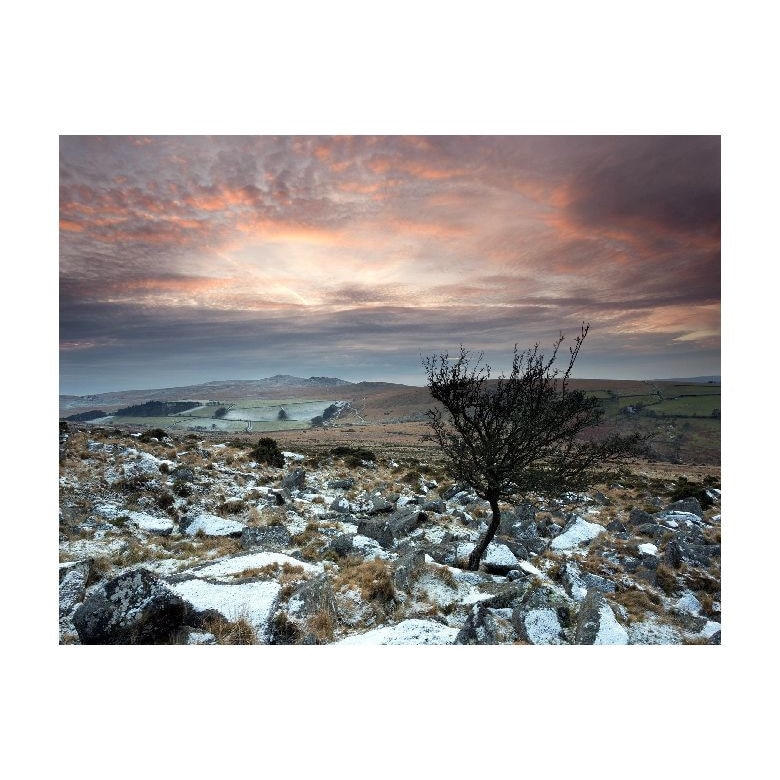 Tablou Canvas Natura, Dimensiunea 100x70 nat25