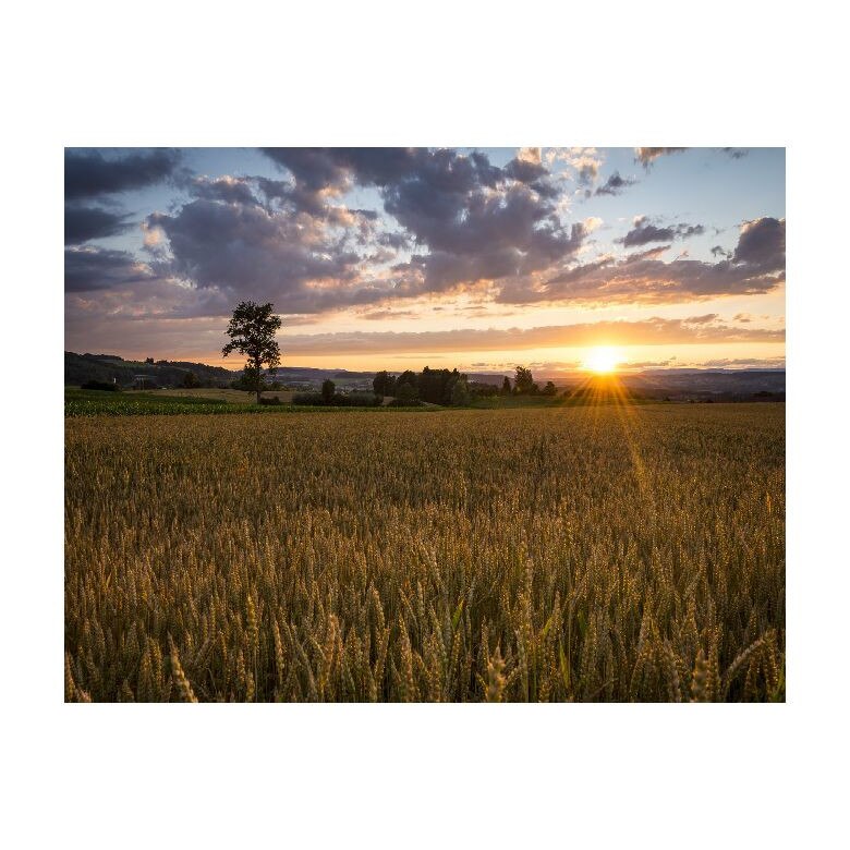 Tablou Canvas Natura, Dimensiunea 100x70 nat36