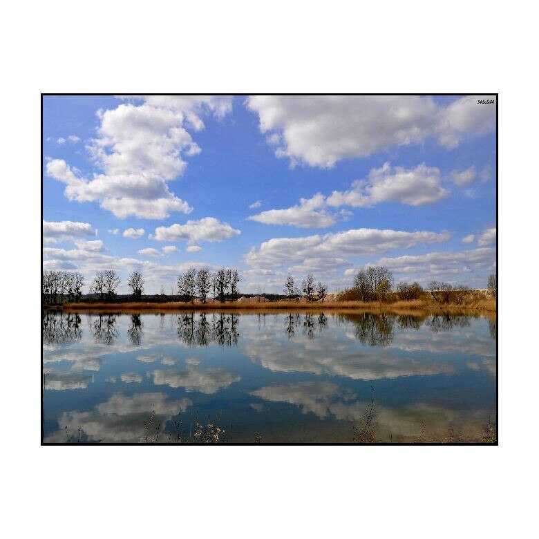 Tablou Canvas Natura, Dimensiunea 100x70 nat115