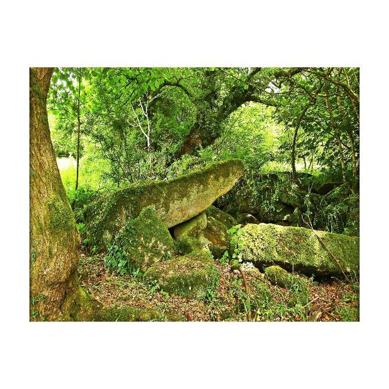 Tablou Canvas Natura, Dimensiunea 100x70 nat95