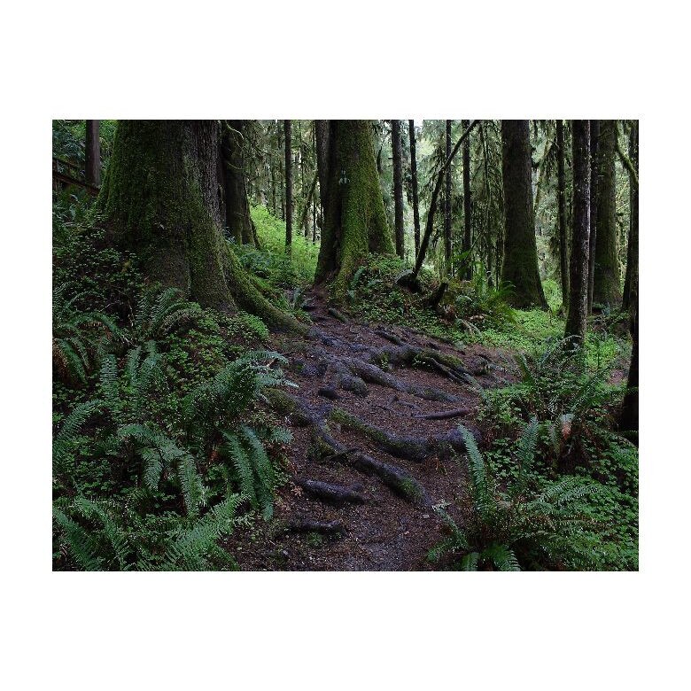 Tablou Canvas Natura, Dimensiunea 100x70 nat100