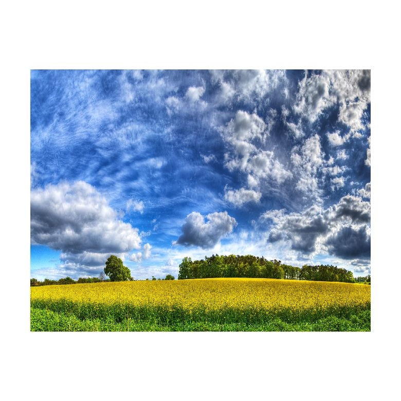 Tablou Canvas Natura, Dimensiunea 100x70 nat19