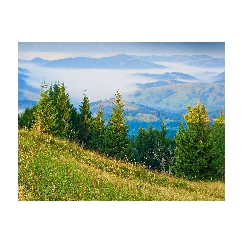 Tablou Canvas Natura, Dimensiunea 100x70 nat15