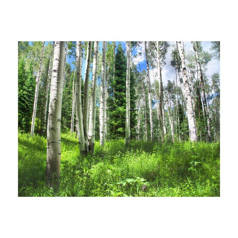 Tablou Canvas Natura, Dimensiunea 100x70 nat50