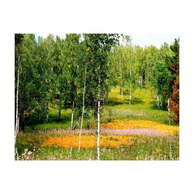 Tablou Canvas Natura, Dimensiunea 100x70 nat27