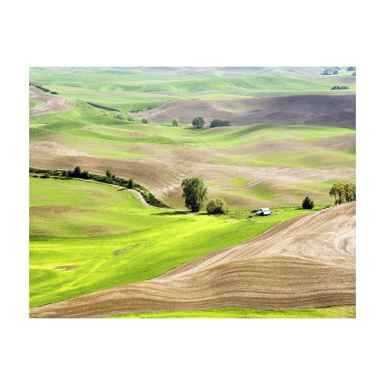 Tablou Canvas Natura, Dimensiunea 100x70 nat7