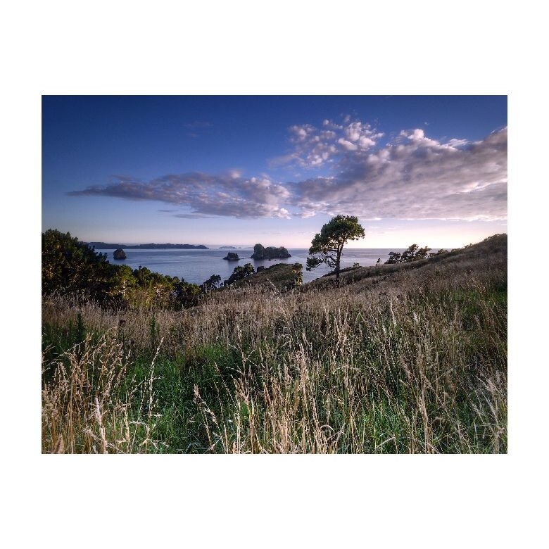 Tablou Canvas Natura, Dimensiunea 100x70 nat47