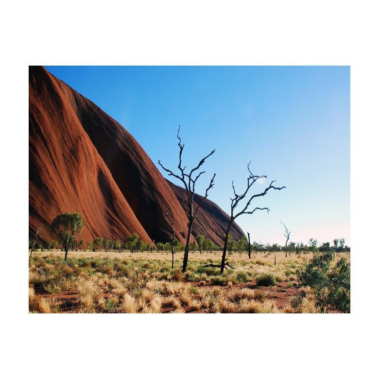 Tablou Canvas Natura, Dimensiunea 100x70 nat82