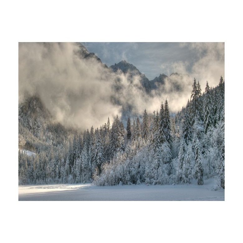 Tablou Canvas Natura, Dimensiunea 100x70 nat126