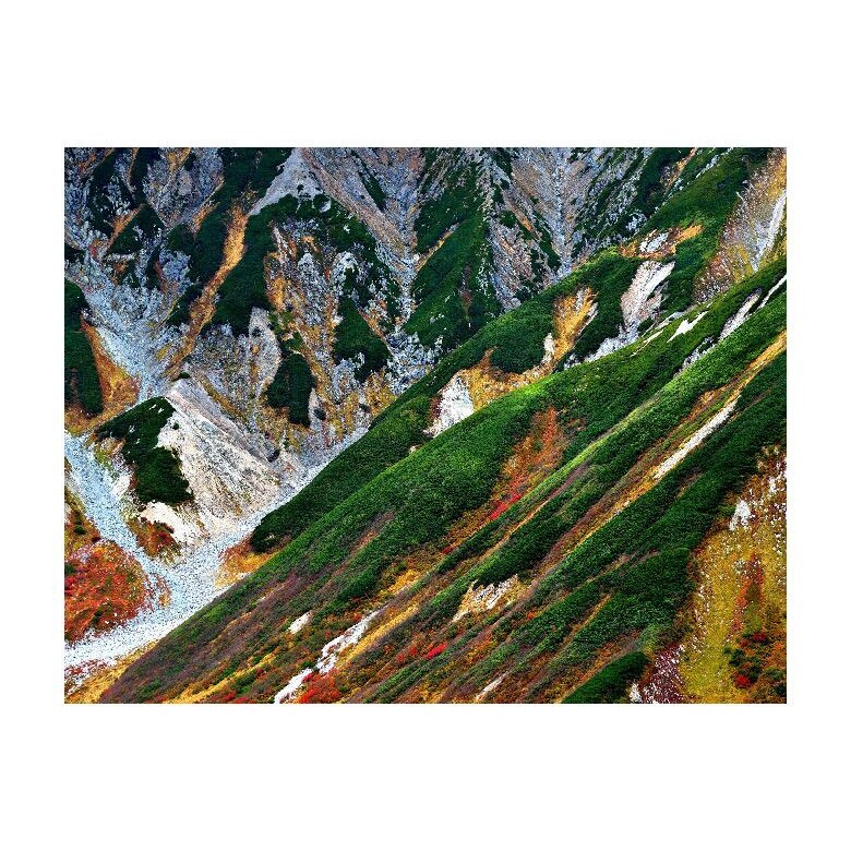 Tablou Canvas Natura, Dimensiunea 100x70 nat184