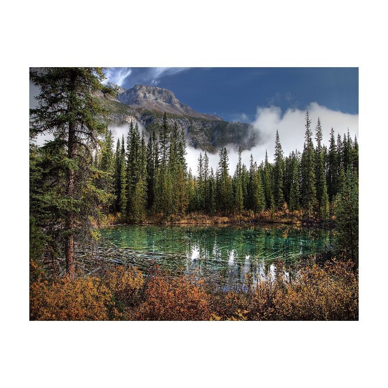 Tablou Canvas Natura, Dimensiunea 100x70 nat181