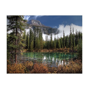 Tablou Canvas Natura, Dimensiunea 100x70 nat181 Tablou Canvas Natura, Dimensiunea 100x70 nat181