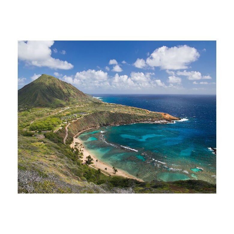 Tablou Canvas Natura, Dimensiunea 100x70 nat249