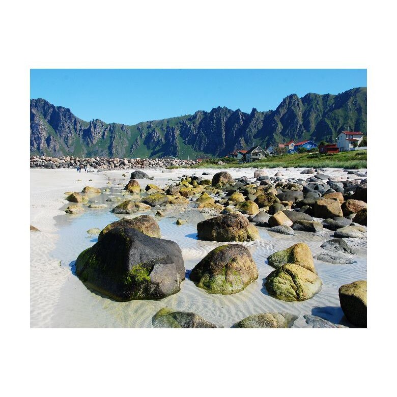 Tablou Canvas Natura, Dimensiunea 100x70 nat186